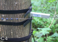DC4樹木周長生長測量儀