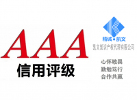 济南市企业申报AAA信用评级认证的流程
