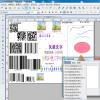 中琅条码印刷机打印软件