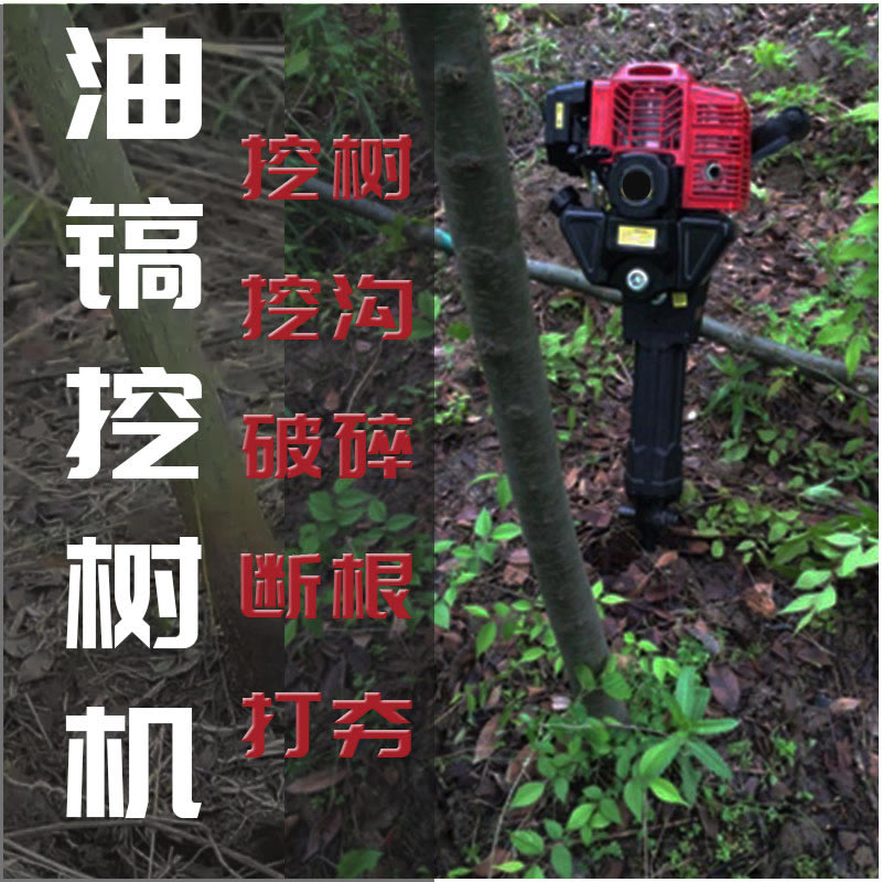 微信图片_20190701134712