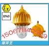 BFC8130防爆泛光灯