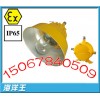 BLC8600防爆道路灯，BLC8600防爆道路平台灯