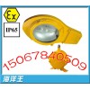 BLC8610防爆道路灯，BLC8610~BLC8610