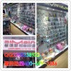 在赣州开动漫连锁店在赣州开动漫连锁店市场大吗