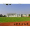 中学塑胶跑道v盘山实验中学塑胶跑道铺设v天宇体育场馆工程建设